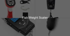 Photo of Fish Weight Scales