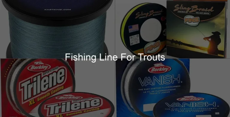 Photo of Fishing Line For Trouts