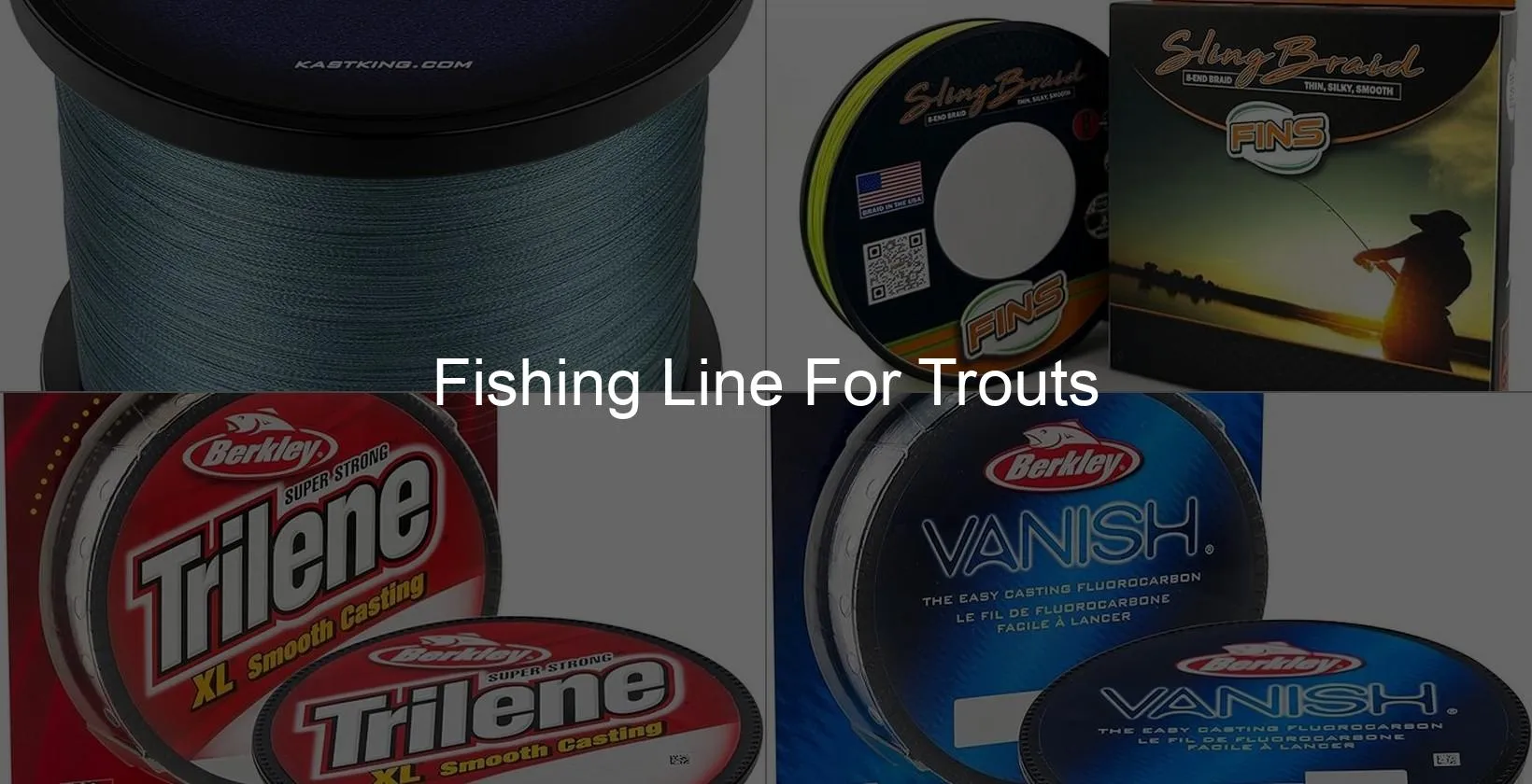 Photo of Fishing Line For Trouts
