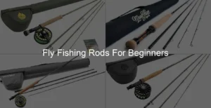 Photo of Fly Fishing Rods For Beginners