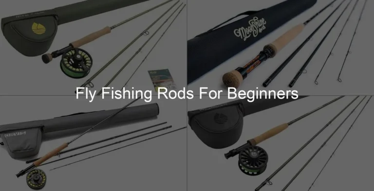 Photo of Fly Fishing Rods For Beginners
