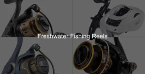 Photo of Freshwater Fishing Reels