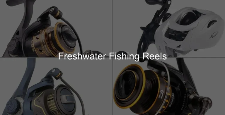 Photo of Freshwater Fishing Reels