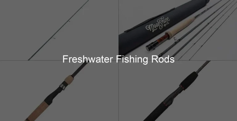 Photo of Freshwater Fishing Rods