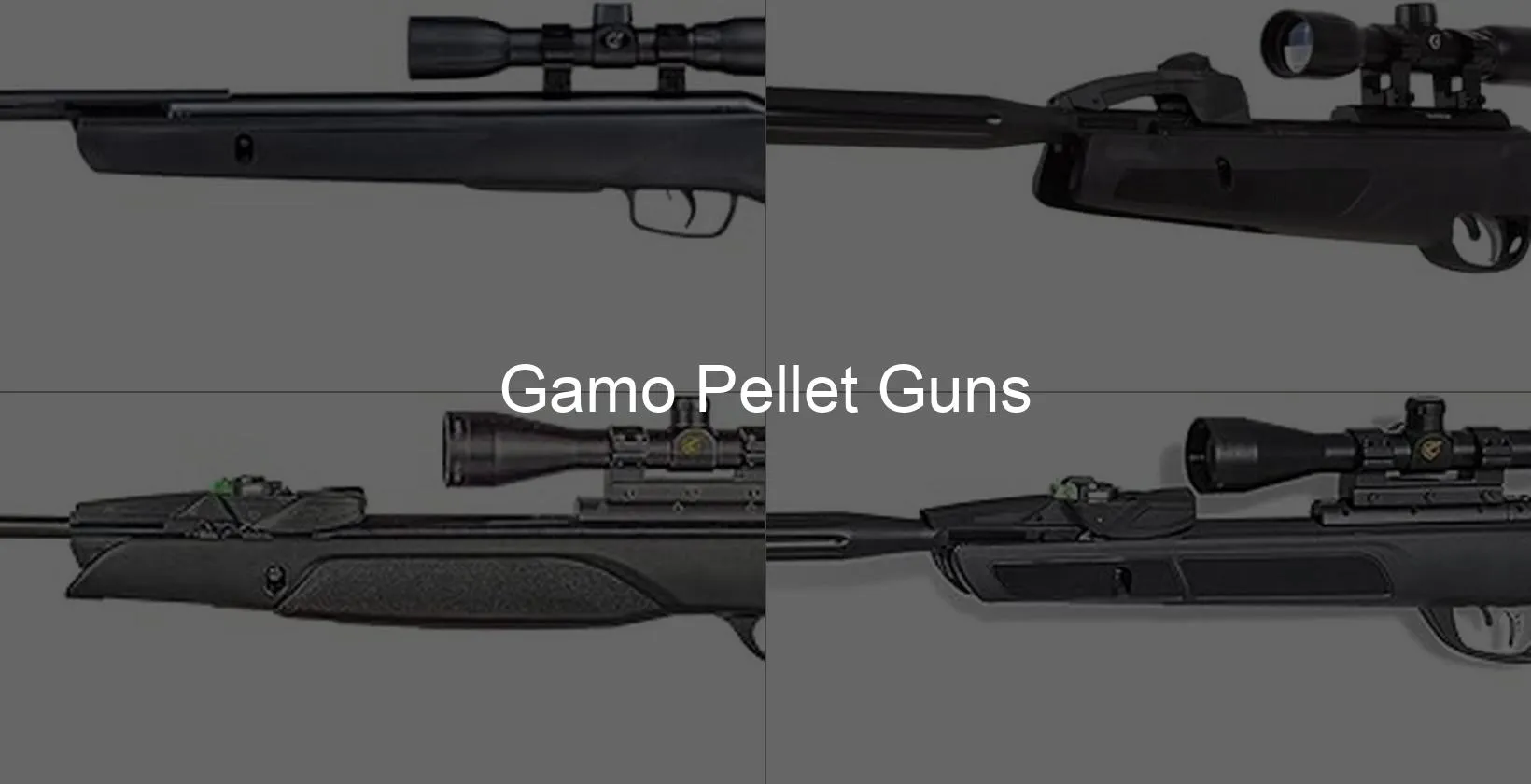 Photo of Gamo Pellet Guns