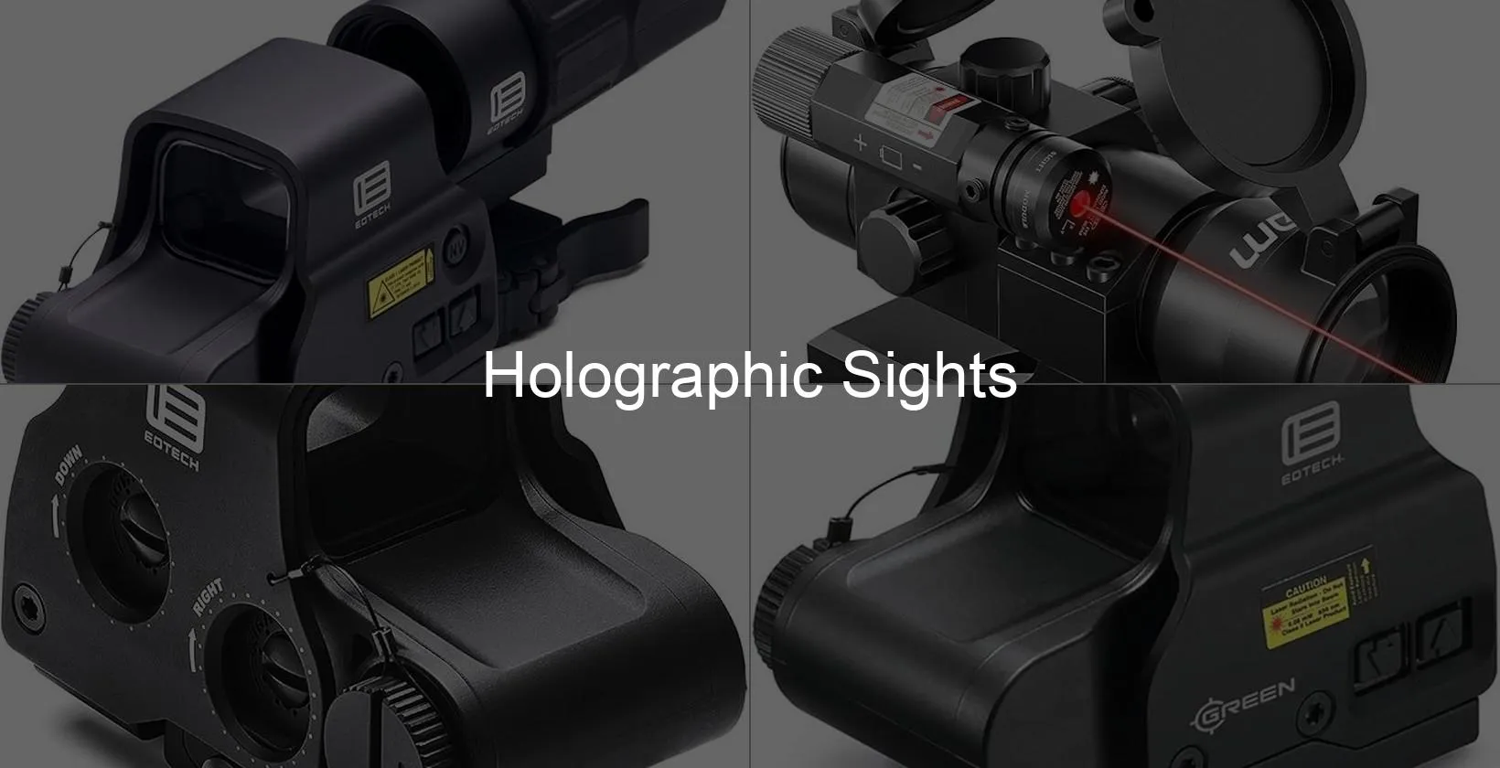 Photo of Holographic Sights