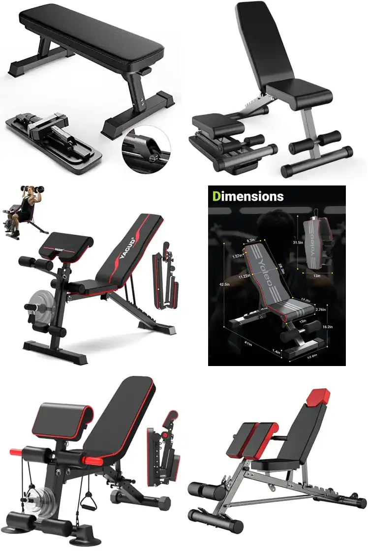 Top 10 Full Body Workout Benches for Total Fitness