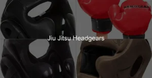 Photo of Jiu Jitsu Headgears