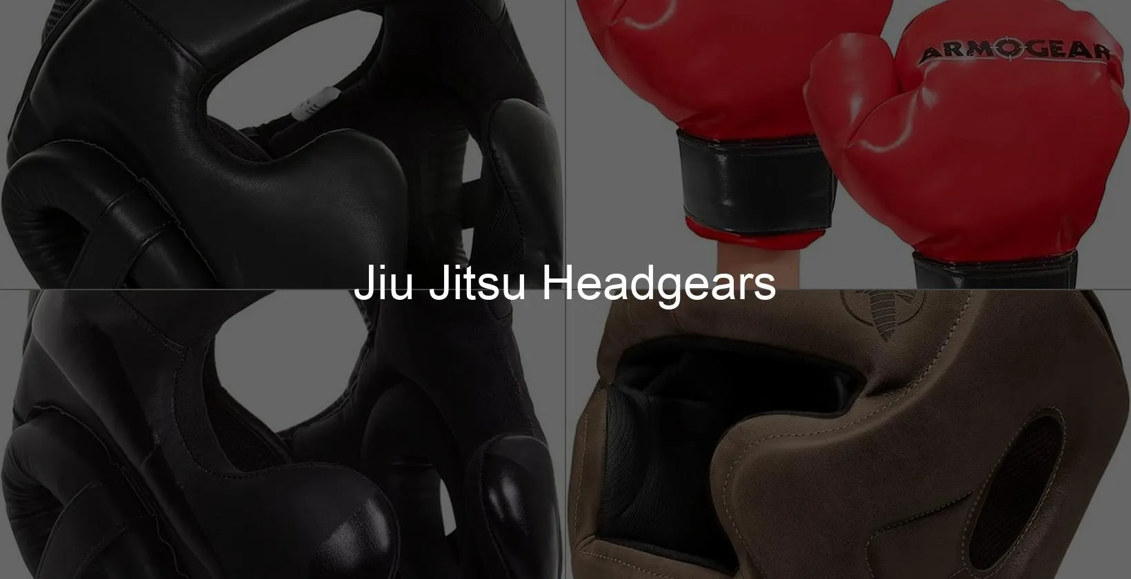 Photo of Jiu Jitsu Headgears