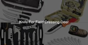 Photo of Knife For Field Dressing Deer