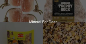Photo of Mineral For Deer
