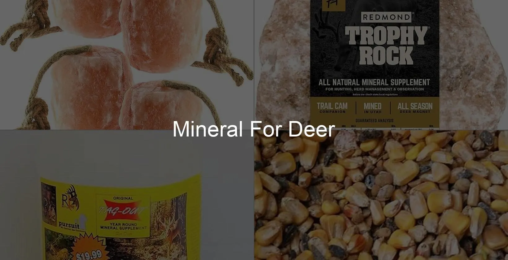 Photo of Mineral For Deer