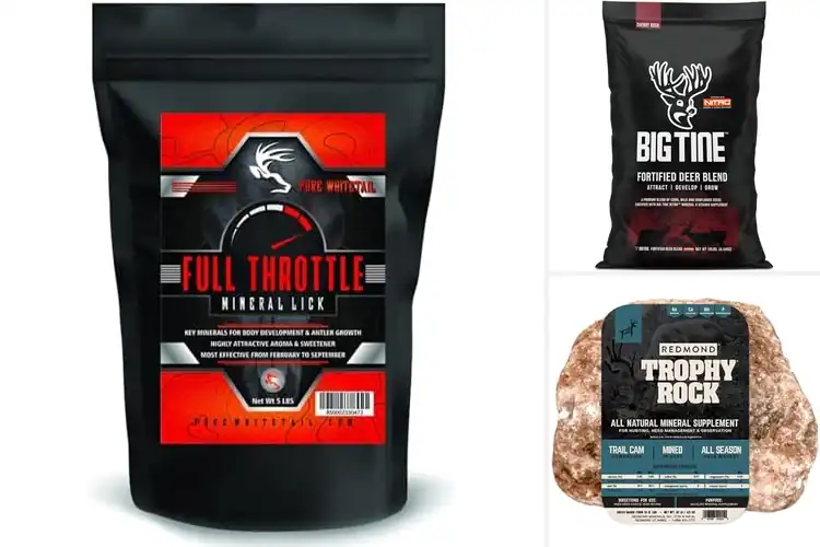 Detailed view of 10 Best Mineral For Deer to Boost Antler Growth