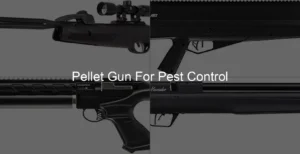 Photo of Pellet Gun For Pest Control
