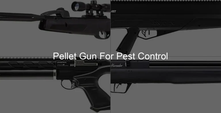 Photo of Pellet Gun For Pest Control