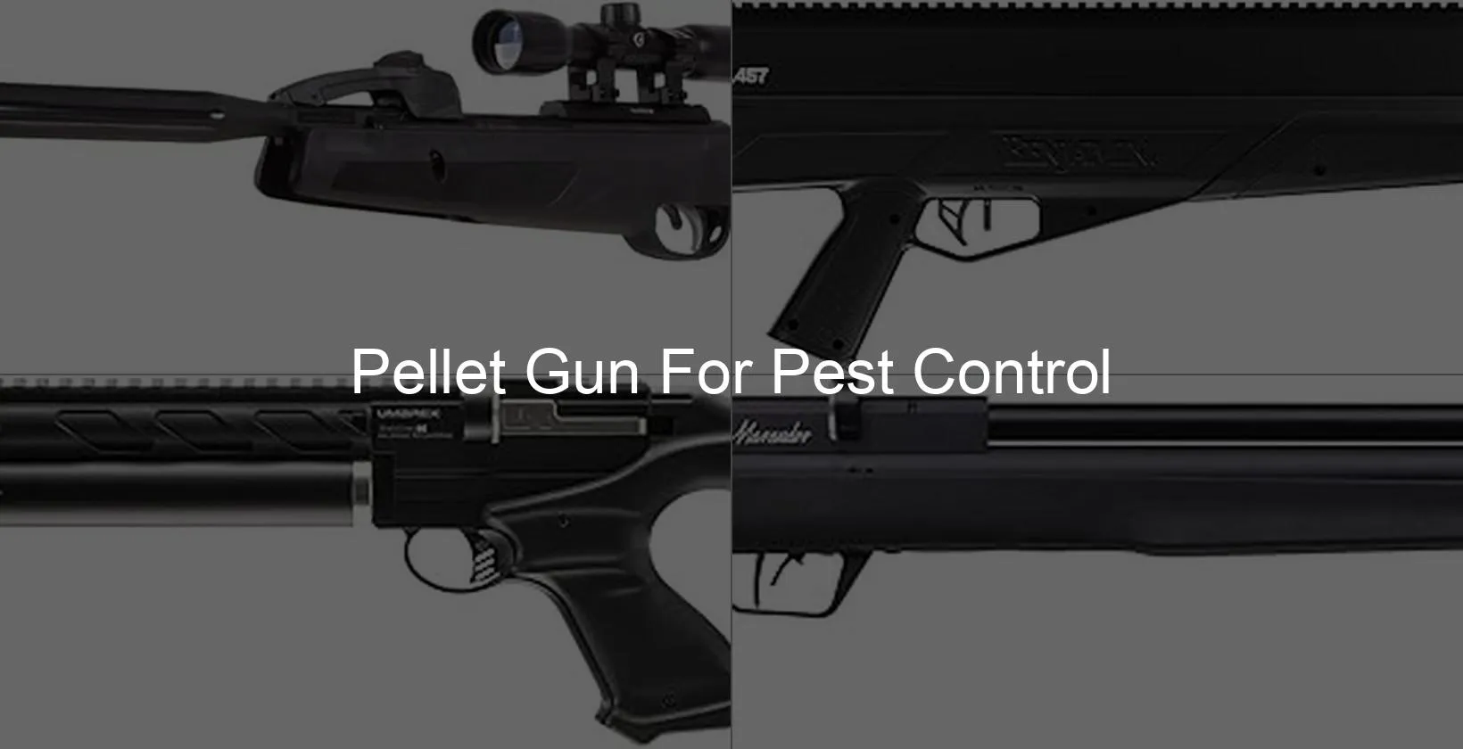 Photo of Pellet Gun For Pest Control