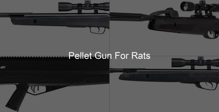 Photo of Pellet Gun For Rats