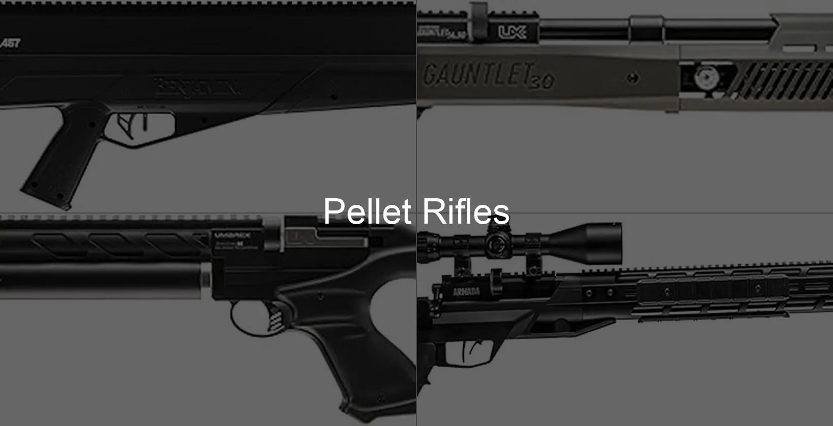Photo of Pellet Rifles