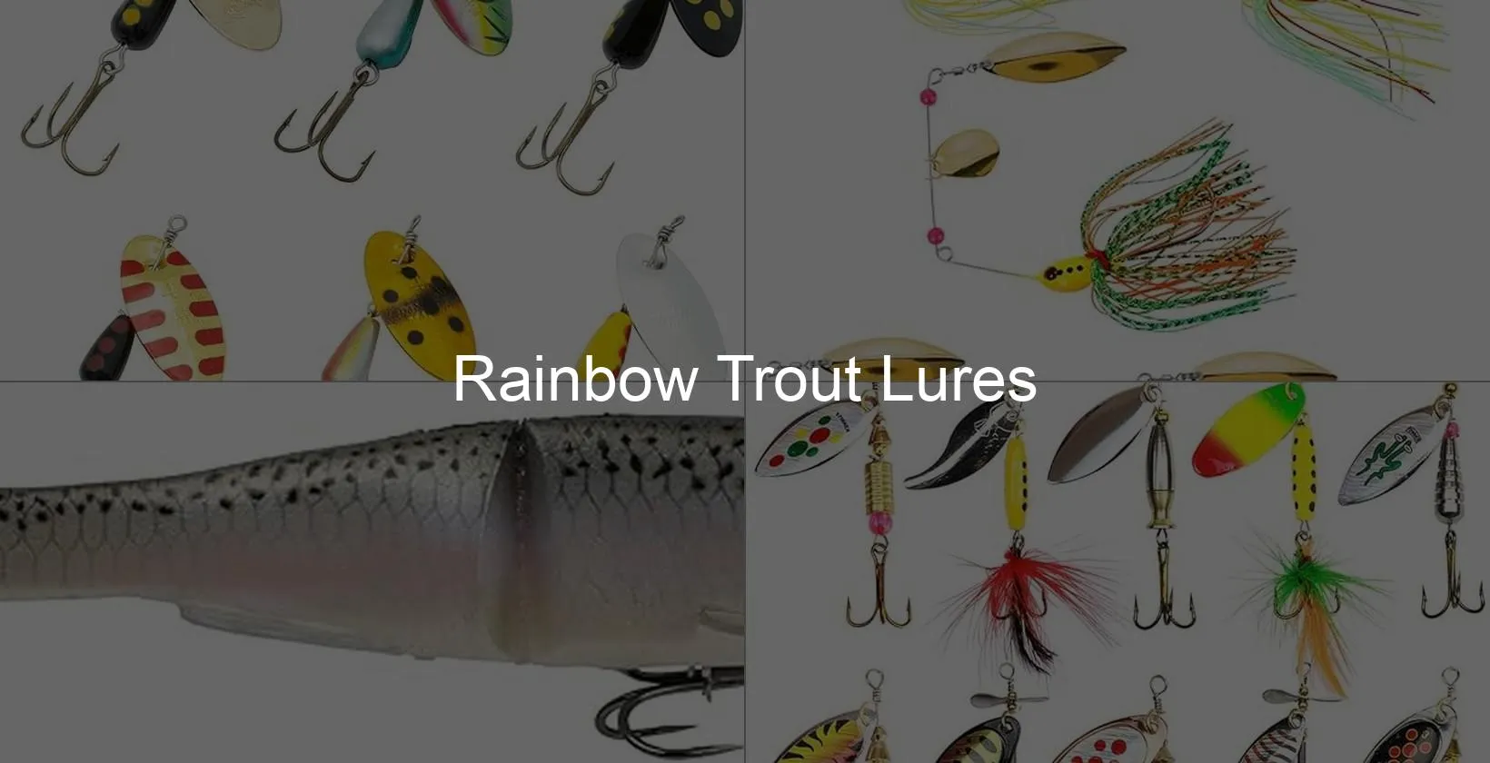 Photo of Rainbow Trout Lures