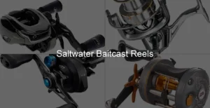 Photo of Saltwater Baitcast Reels