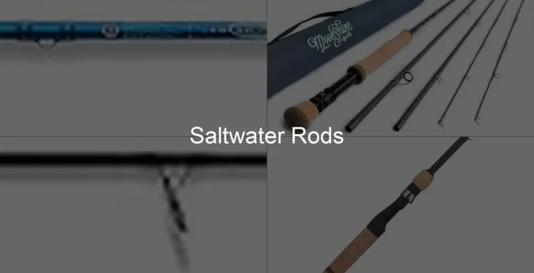 Photo of Saltwater Rods