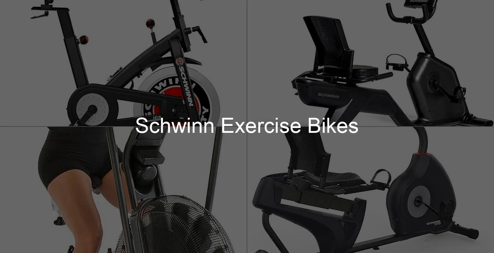 Photo of Schwinn Exercise Bikes