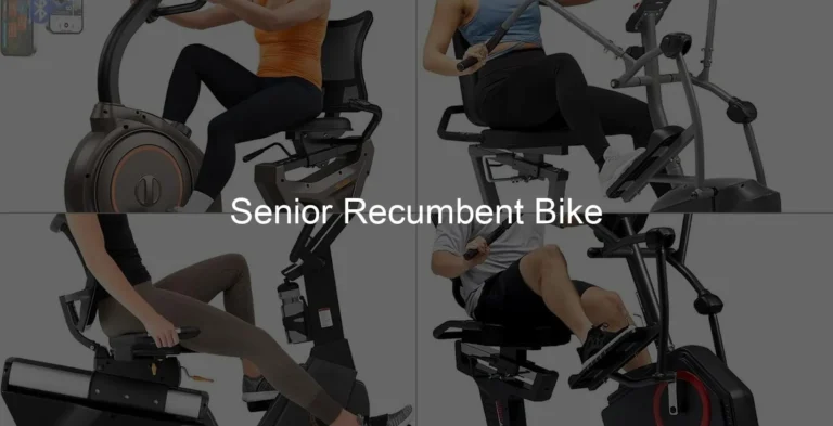 Photo of Senior Recumbent Bike