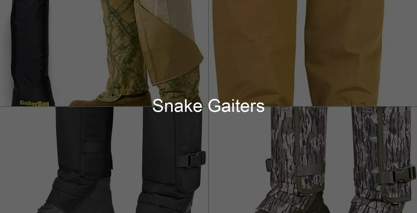 Photo of Snake Gaiters