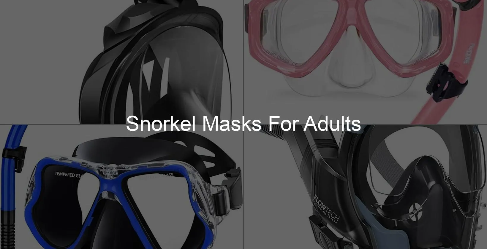 Photo of Snorkel Masks For Adults