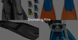 Photo of Snorkeling Fins