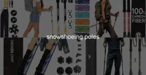 Photo of snowshoeing poles