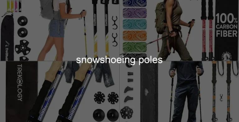 Photo of snowshoeing poles