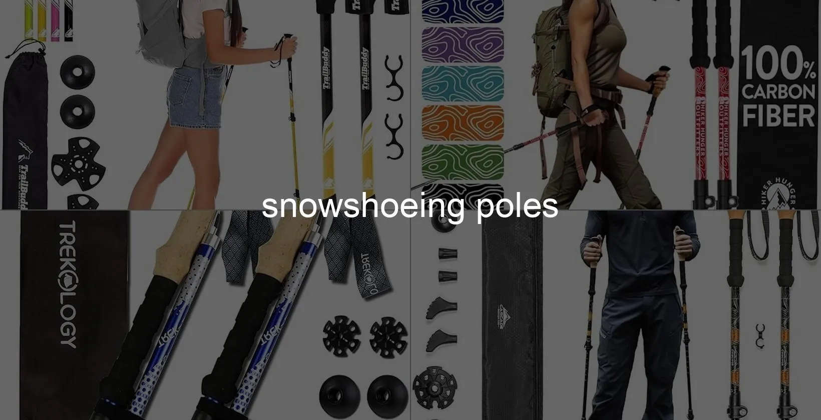 Photo of snowshoeing poles