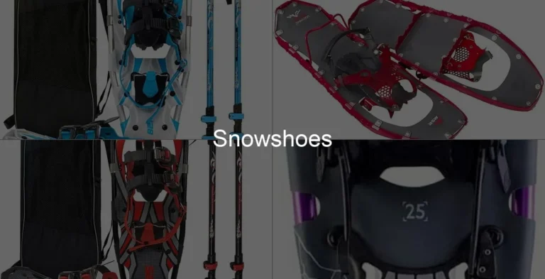 Photo of Snowshoes