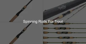 Photo of Spinning Rods For Trout