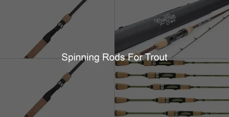 Photo of Spinning Rods For Trout