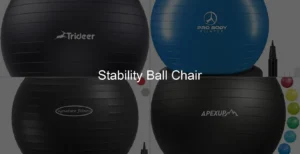 Photo of Stability Ball Chair