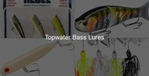 Photo of Topwater Bass Lures