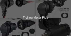 Photo of Trolling Motor Plug