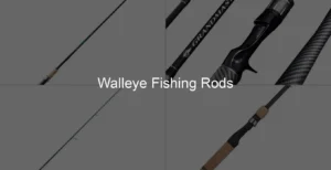 Photo of Walleye Fishing Rods