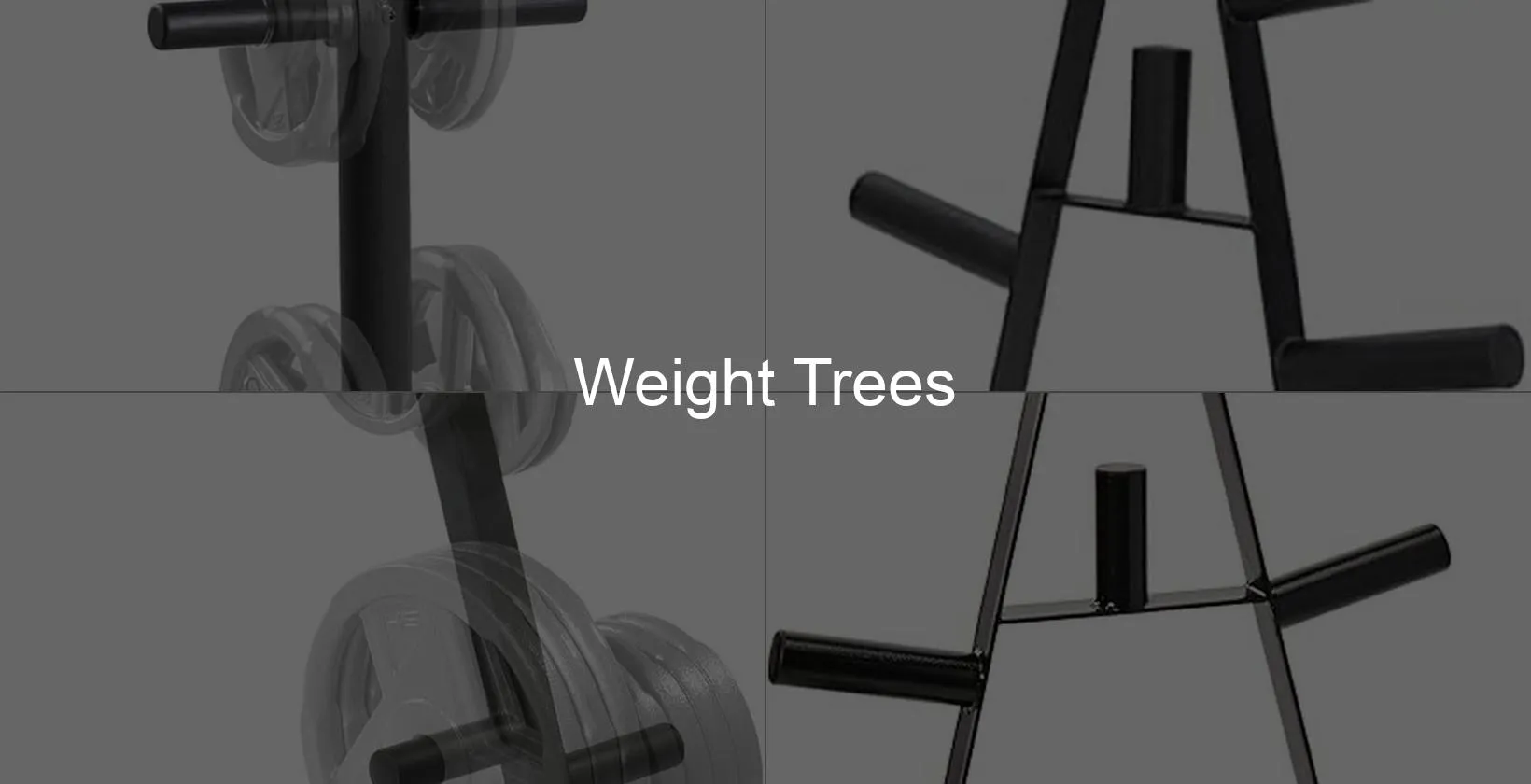 Photo of Weight Trees