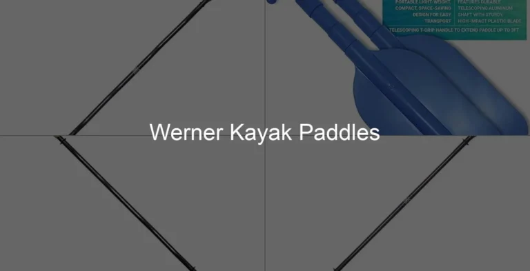 Photo of Werner Kayak Paddles