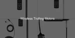 Photo of Wireless Trolling Motors